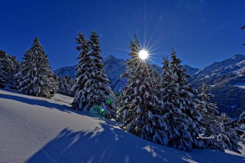 a group of snow covered trees on a mountain at Casa dello Sciatore in Bormio