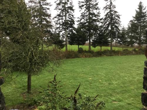 a field of green grass with trees in the background at The Magnolias B&B in Moyon