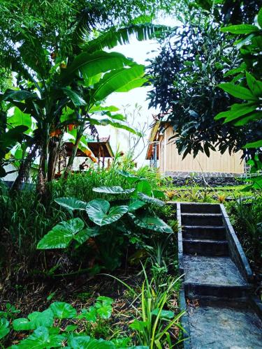 a garden with a staircase and plants and a fence at Black Lava Hostel and Lodge in Kintamani