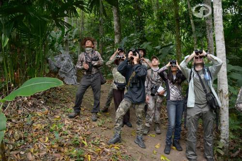 a group of people taking pictures in the forest at Tinamu Birding in La Manuelita