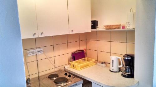 Apartment Vesna tesisinde mutfak veya mini mutfak