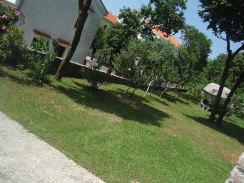 Taman di luar Apartman Ana