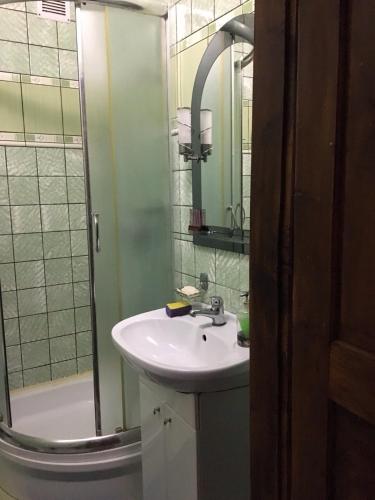 a bathroom with a sink and a shower at Usadba Bilya Richky in Skole