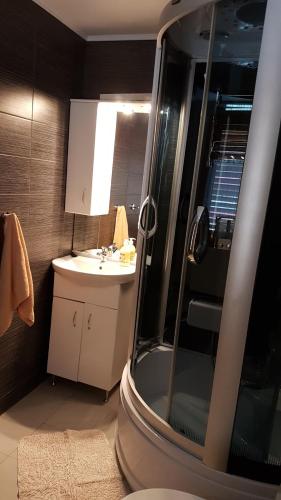 a bathroom with a shower and a sink and a toilet at Krókusz Kulcsosház - Boga in Boga