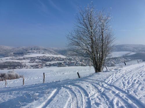 a snow covered hill with a tree and a fence at Ferienwohnungen Finke in Frankenau