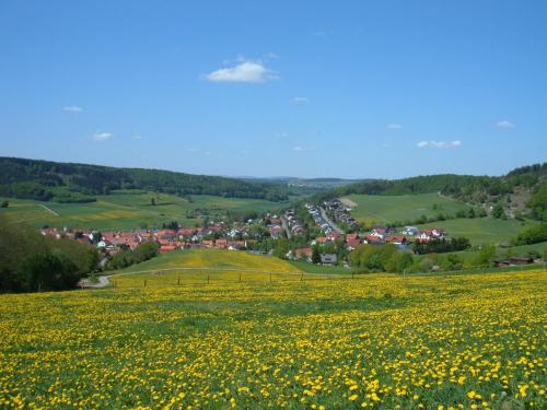 a field of yellow flowers in front of a town at Ferienwohnungen Finke in Frankenau
