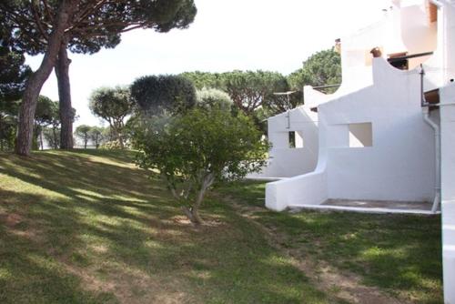 una casa blanca con un árbol en el patio en Estúdio tranquilo praia da Falésia, en Albufeira