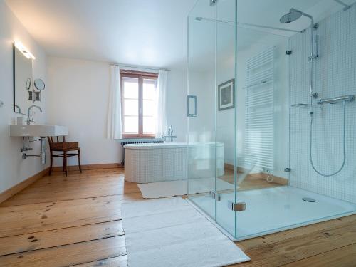 a bathroom with a glass shower and a sink at Waelderhus Tamegger in Krumbach