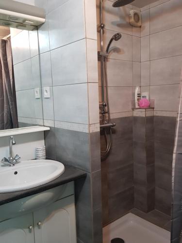 Kylpyhuone majoituspaikassa Appartement Carnus Rodez