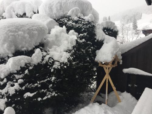 a snow covered bush in front of a house at Apartment Moore in Reit im Winkl