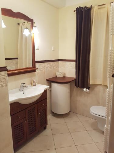 a bathroom with a sink and a toilet and a mirror at Apartma Lenka Kranjska Gora in Kranjska Gora