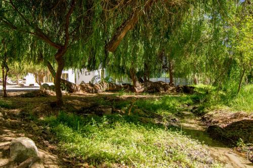 a weeping willow tree in a park with green grass at Aldea del Valle - Elqui Villas, Pisco Elqui in Pisco Elqui