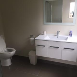 a bathroom with a toilet and a sink and a mirror at Hahei Sea Vista (2) in Hahei