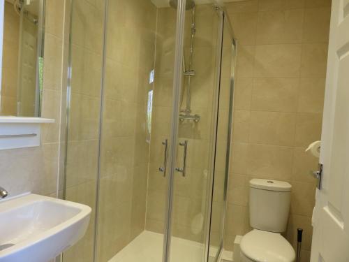 a bathroom with a shower and a toilet and a sink at Cherry Lodge in Hook