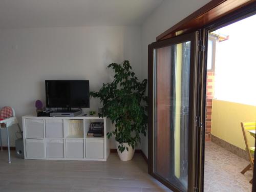 a living room with a tv and a potted plant at Largo do cruzeiro in Póvoa de Varzim