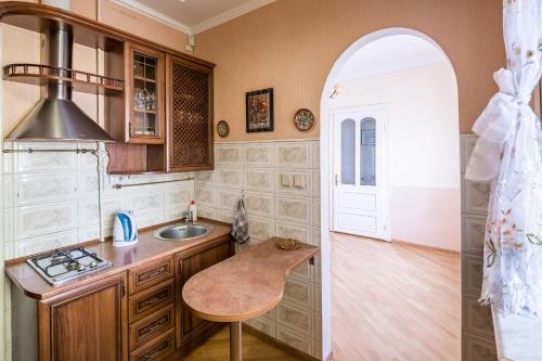 Кухня или кухненски бокс в Krakivska Street Apartment