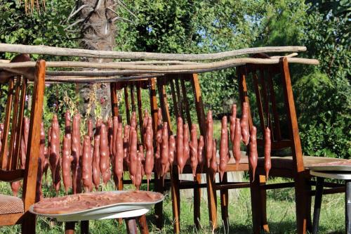 a bunch of sausages are lined up on chairs at GreenGate in Gurjaani