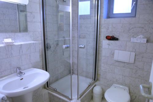 a bathroom with a shower and a sink and a toilet at Waldhotel Wilhelmshöhe in Freudenberg