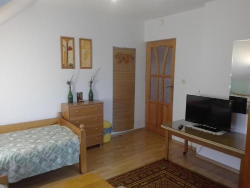 a bedroom with a bed and a desk with a television at Agroturystyka Relaks in Orzeszkowo