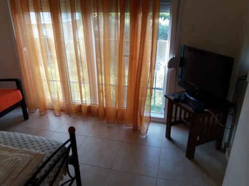 Gallery image of Dimitrios Apartments in Sotirítsa
