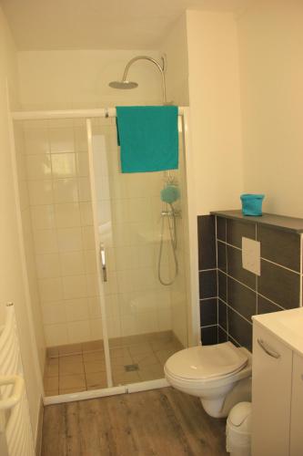 une salle de bain avec douche et toilettes dans l'établissement Village Vacances Les Dunes - Domaine de Bombannes, à Carcans