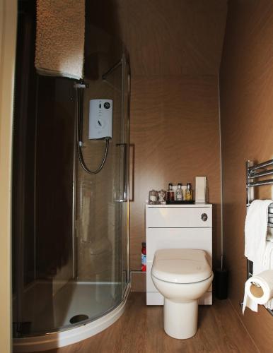 a bathroom with a toilet and a shower at Drumdale Bed and Breakfast in Inverness