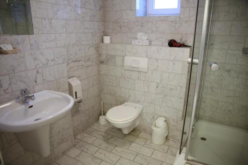 a bathroom with a toilet and a sink and a shower at Waldhotel Wilhelmshöhe in Freudenberg