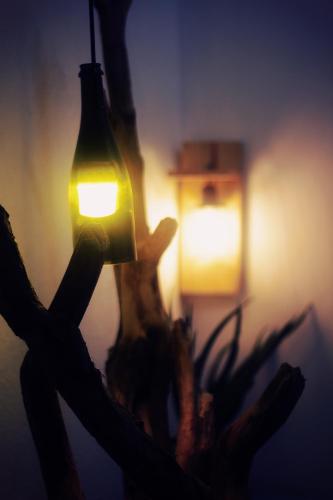a light in the middle of a plant with a candle at Samstay in Tuy Hoa