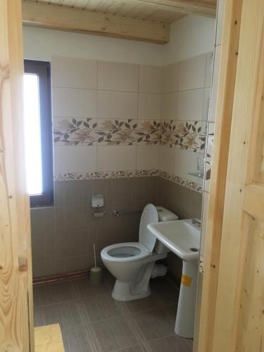 ポイアナ・ブラショフにあるCabana Bradul Skilandのバスルーム(トイレ、洗面台付)