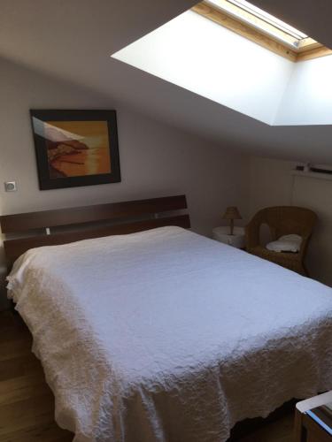 a bedroom with a white bed and a skylight at Gîte de l’Eyrieux in Les Ollières-sur-Eyrieux