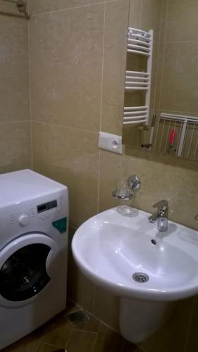 a bathroom with a washing machine next to a sink at Salome's Apartment at Bakuriani Residence in Bakuriani