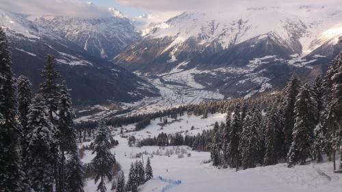 a view of a snowy mountain valley with trees at Hotel Svanseti in Mestia