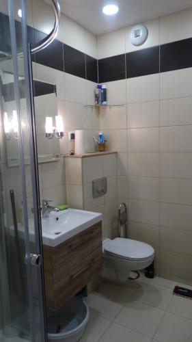 W łazience znajduje się toaleta, umywalka i prysznic. w obiekcie Walbrzych - przytulne, nowe mieszkanie w Wałbrzychu