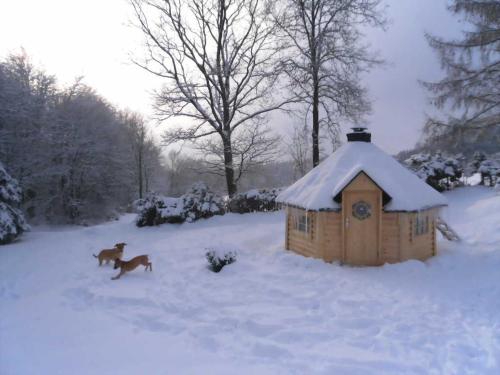 a horse running in the snow next to a dog house at Solling-Lounge in Holzminden