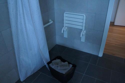 La salle de bains est pourvue d'une douche et d'un panier de serviettes. dans l'établissement Hôtel de la Truite, à Champ-du-Moulin