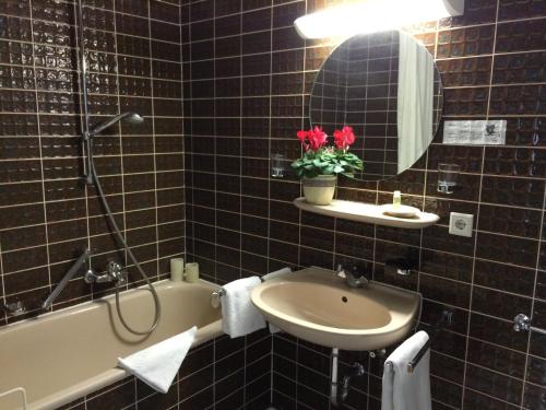 a bathroom with a sink and a shower and a mirror at Teutonia Hotel in Horn-Bad Meinberg