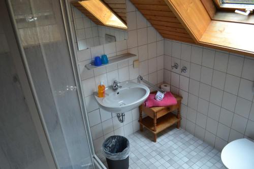 ein Bad mit einem Waschbecken und einer Dusche in der Unterkunft Gästehaus Tagescafe Eckenfels in Ohlsbach