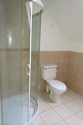 a bathroom with a toilet and a glass shower at 14 Drumcoura Lake Resort in Ballinamore