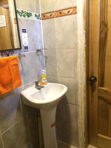een badkamer met een wastafel en een douche bij Hostal La Casa Amarilla City in Baños