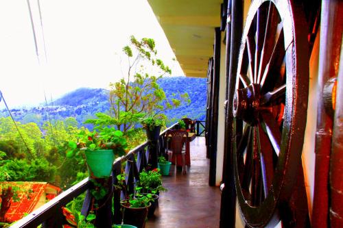 a balcony with a bunch of potted plants on it at Chez Allen in Nuwara Eliya