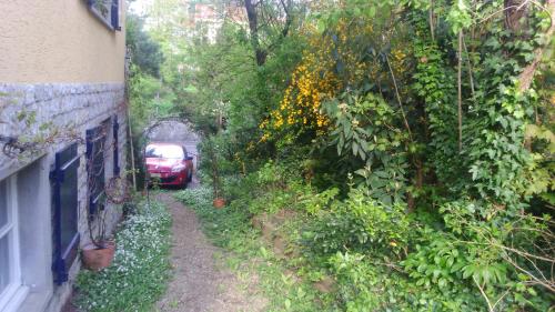 a car is parked on a road next to a house at B&B am Park in Rheinfelden