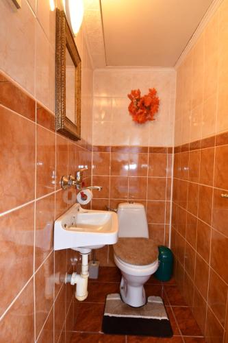 a bathroom with a toilet and a sink at Ubytovanie u Vlasty in Štrba