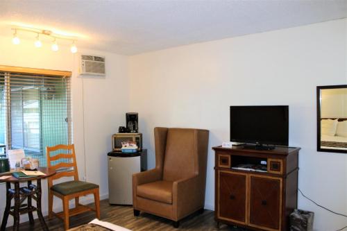 a living room with a chair and a flat screen tv at Big Pines Mountain House in South Lake Tahoe