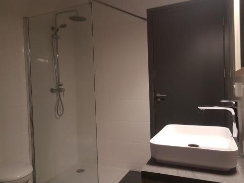 a bathroom with a sink and a glass shower at Haus Karina in Bad Mitterndorf