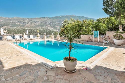a swimming pool with a palm tree in a pot at Club Çapa Hotel in Kas