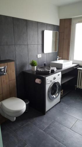 une salle de bain avec une machine à laver et un lavabo dans l'établissement Au Petit Bonheur Charmant Gite Colmar, à Horbourg-Wihr