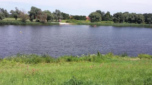 a lake with a boat in the middle of it at Ferienhäuser Pannier I und oder II in Gartow