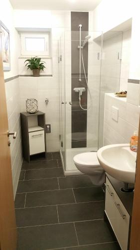 a bathroom with a toilet and a sink and a shower at FeAp Brombachsee - Sonnentag Ost in Röttenbach