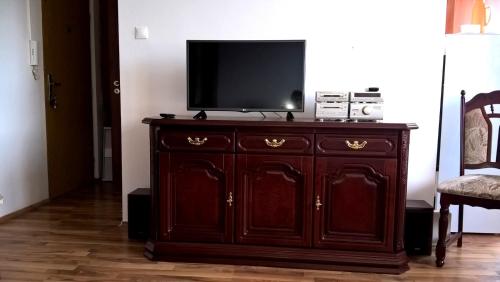 TV a/nebo společenská místnost v ubytování Apartment Most-Borovského