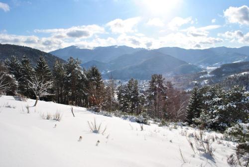 a snow covered hill with trees and mountains in the background at Logis Auberge Du Mehrbachel - Hôtel & Restaurant in Saint-Amarin
